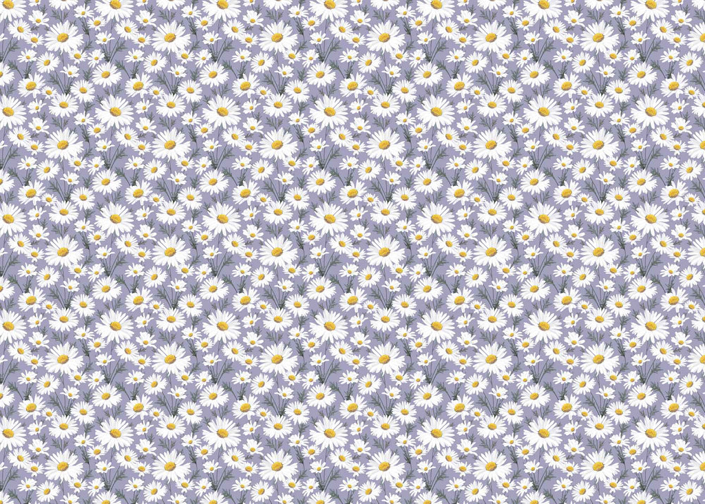 Wrapping Paper - GWP18 - Oxeye Daisy Wrapping Paper - Giant Daisy Wrapping Paper - Whistlefish