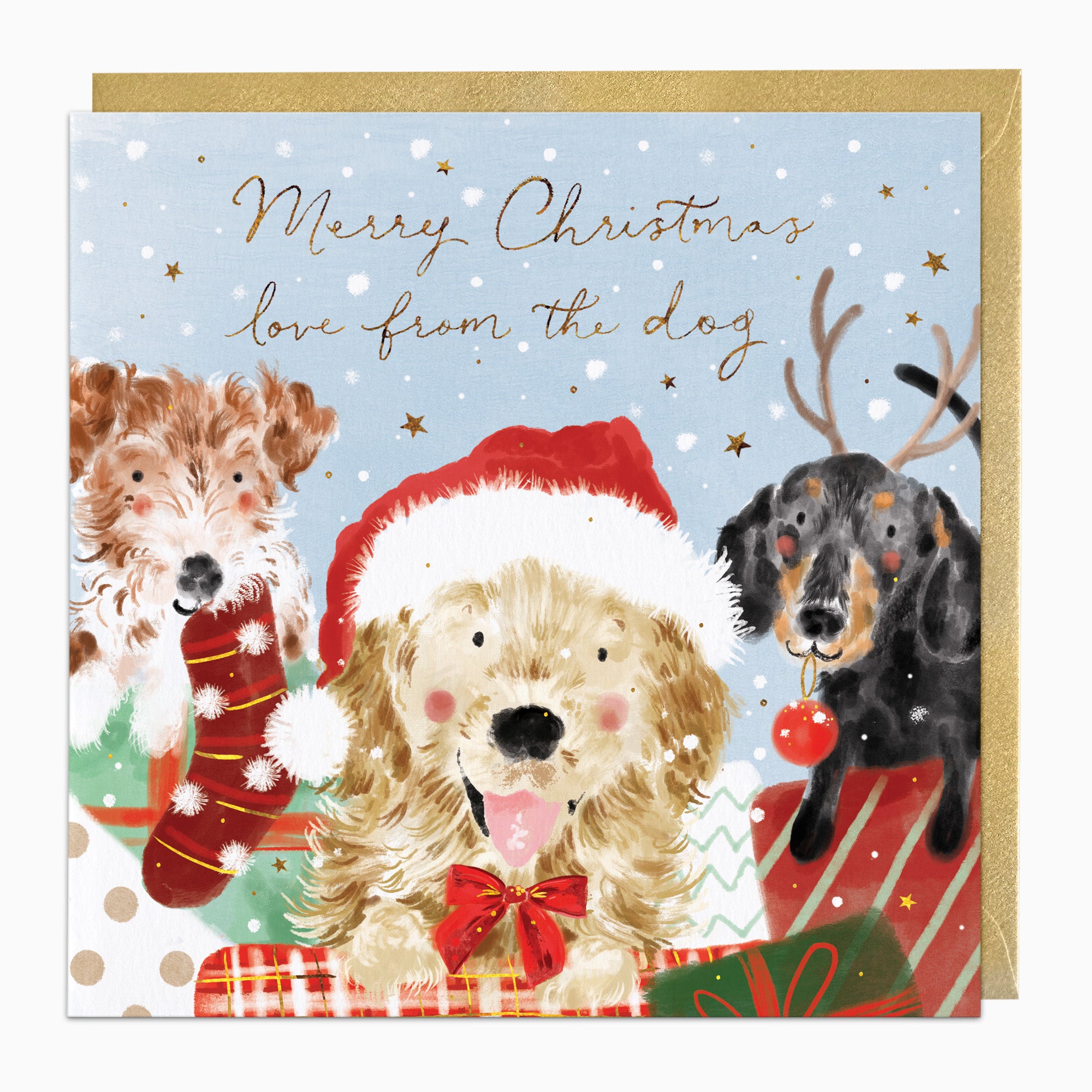 ZA178 - Love From The Dog Christmas Card