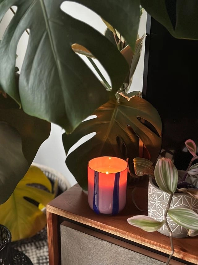 Candle-MASTRC01 - Atina Candle Blackcurrant & Oudh-Maegen