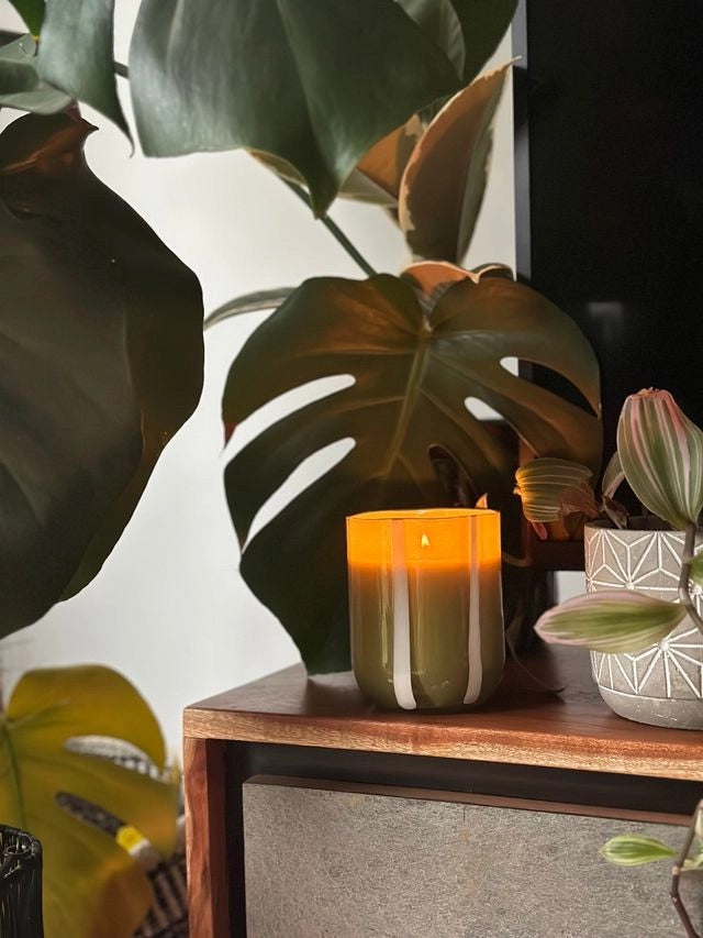 Candle-MASTRC03 - Atina Candle Fresh Olive & Lemon-Maegen