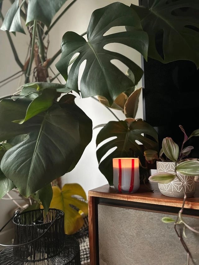 Candle-MASTRC02 - Atina Candle Tomato & Mint Leaf-Maegen