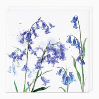 Bluebells Art Card - Whistlefish