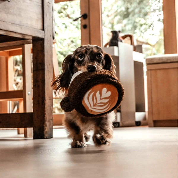 FWTOYL - Flat White Dog Toy