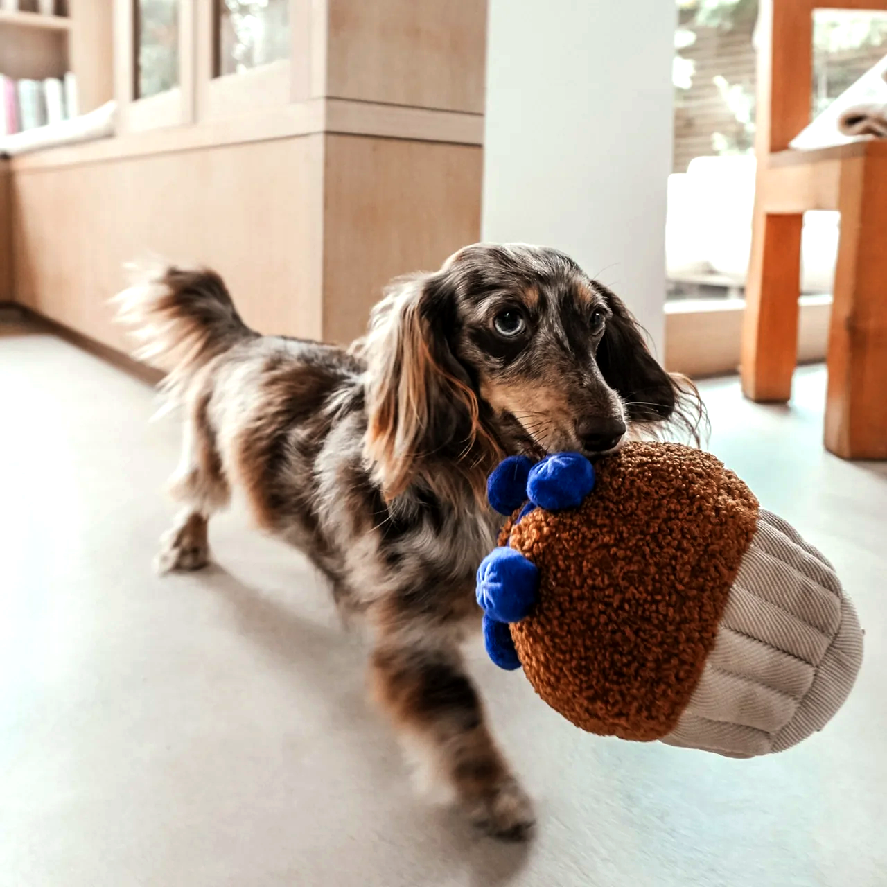 BMTOYL - Blueberry Muffin Dog Toy