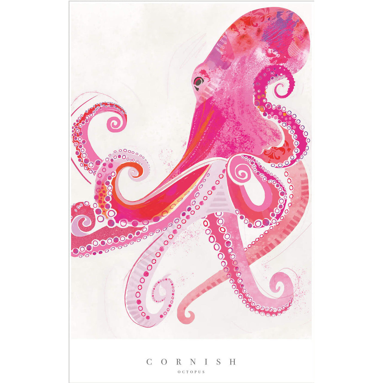 Print-WF708P - Cornish Octopus Small Art Print-Whistlefish