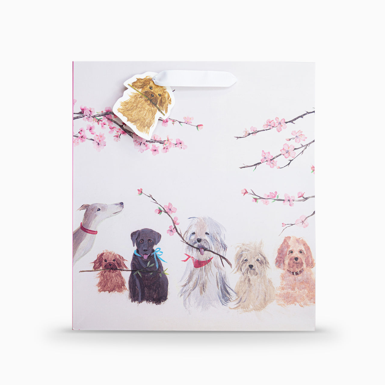 Gift Bag-HC02LB - Dogs Large Gift Bag-Hannah Cole