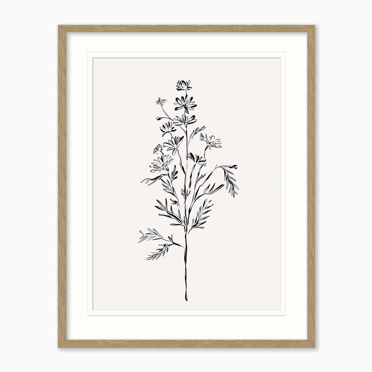 Framed Print-WF1207F - Elegant Floral Framed Print-Whistlefish