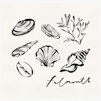 Falmouth Shells Art Print - Whistlefish