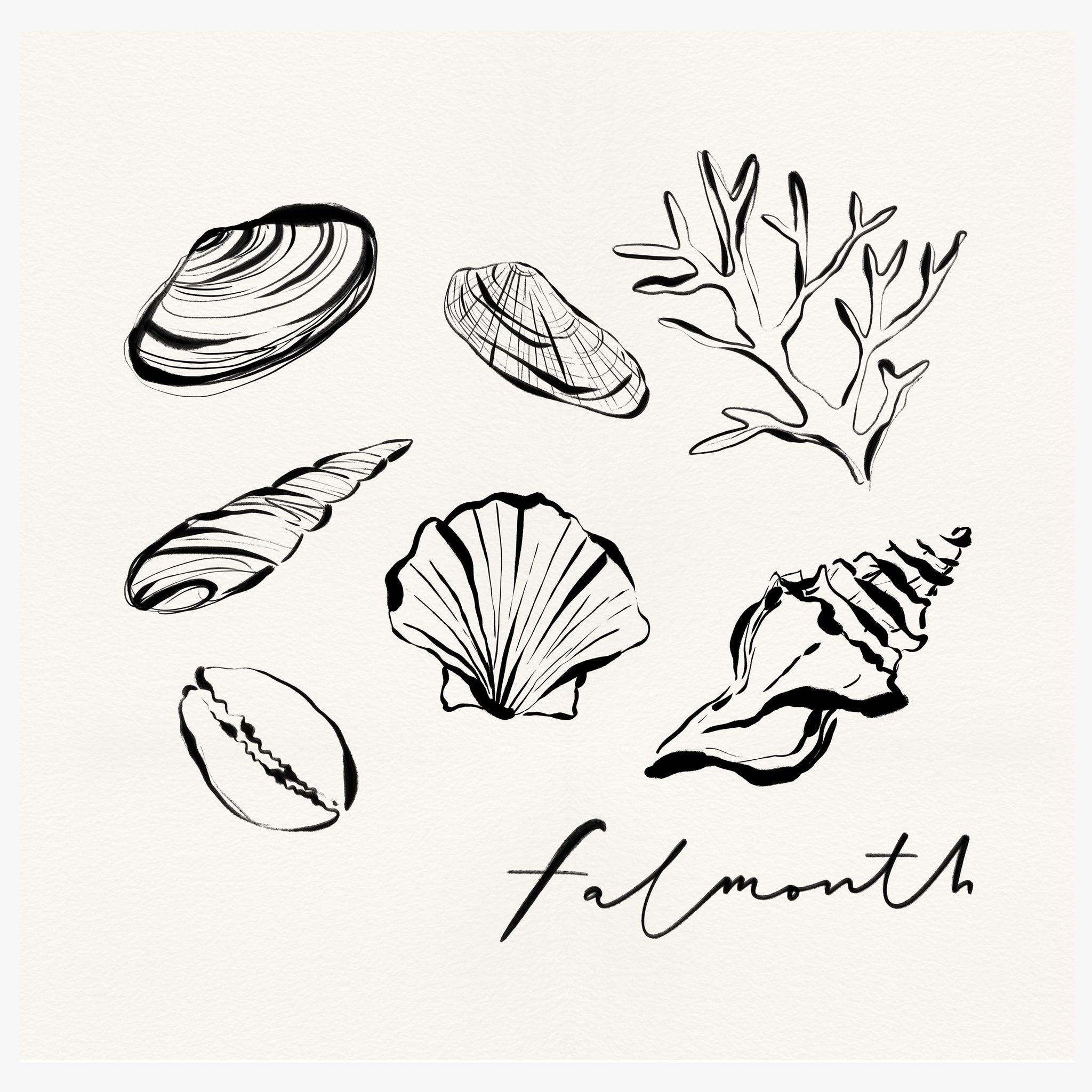 Print-WF1105P - Falmouth Shells Art Print-Whistlefish