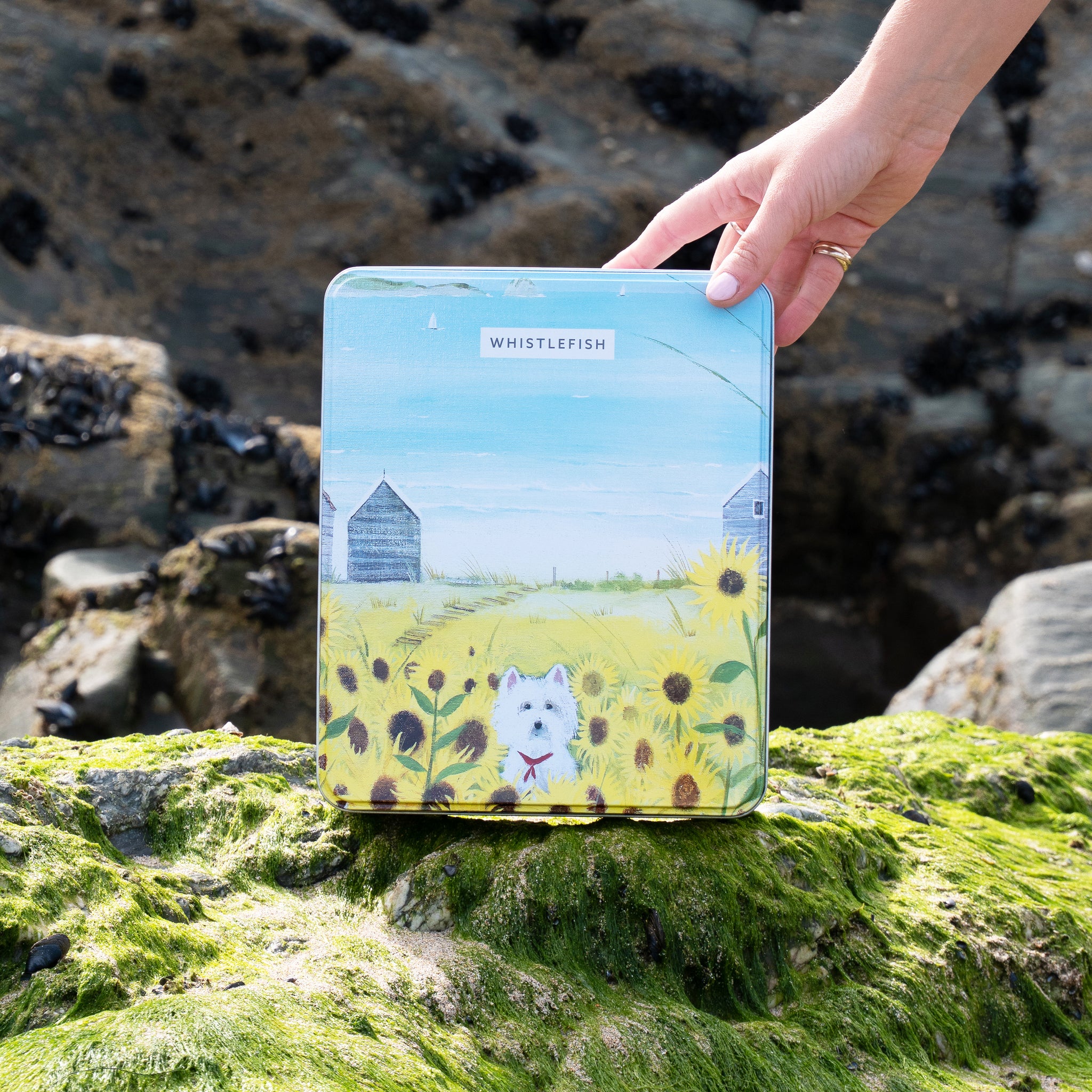 Gift Tin-GT32 - Gone Westie Gift Tin-Hannah Cole