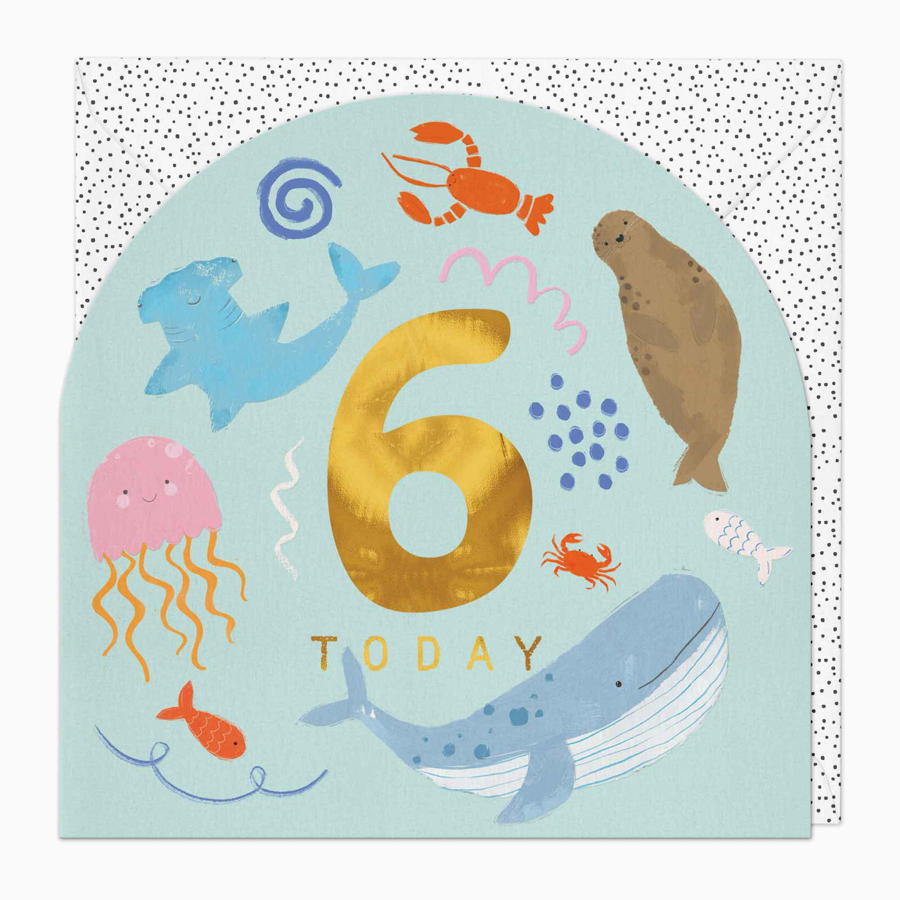 Greeting Card-G371 - Little Joy 6th Birthday Card-Whistlefish