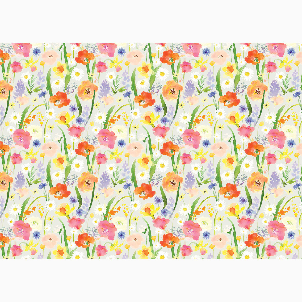 Wrapping Paper-GWP136 - Meadow Morning Wrapping Paper-Whistlefish