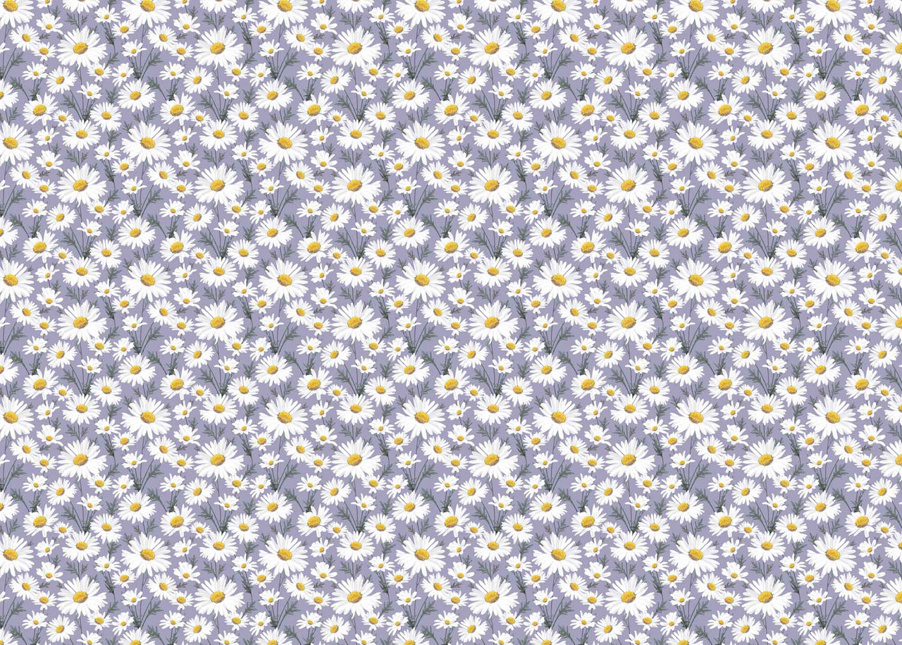 Wrapping Paper - GWP18 - Oxeye Daisy Wrapping Paper - Giant Daisy Wrapping Paper - Whistlefish