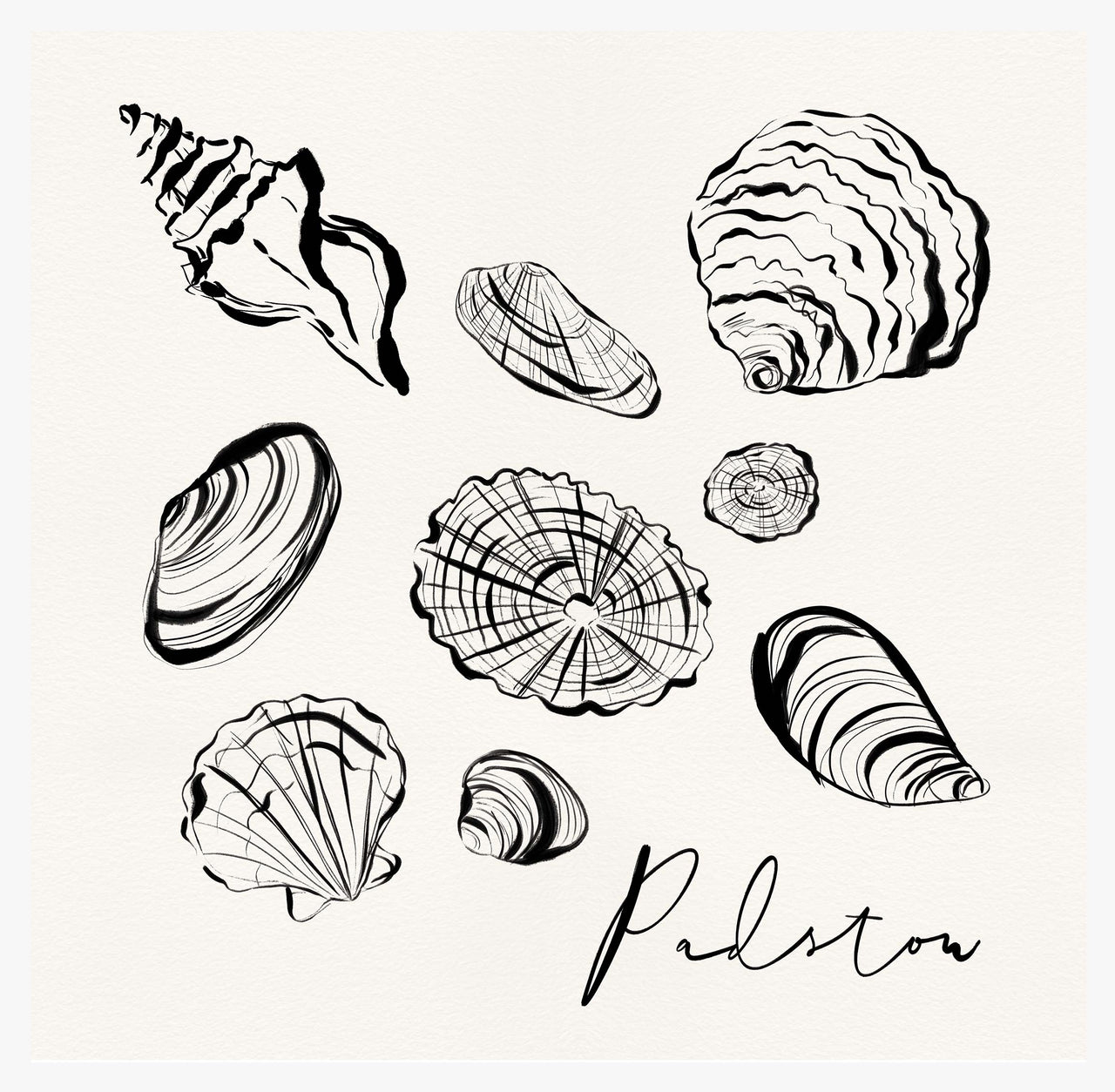 Framed Print-WF1104F - Padstow Shells Framed Print-Whistlefish