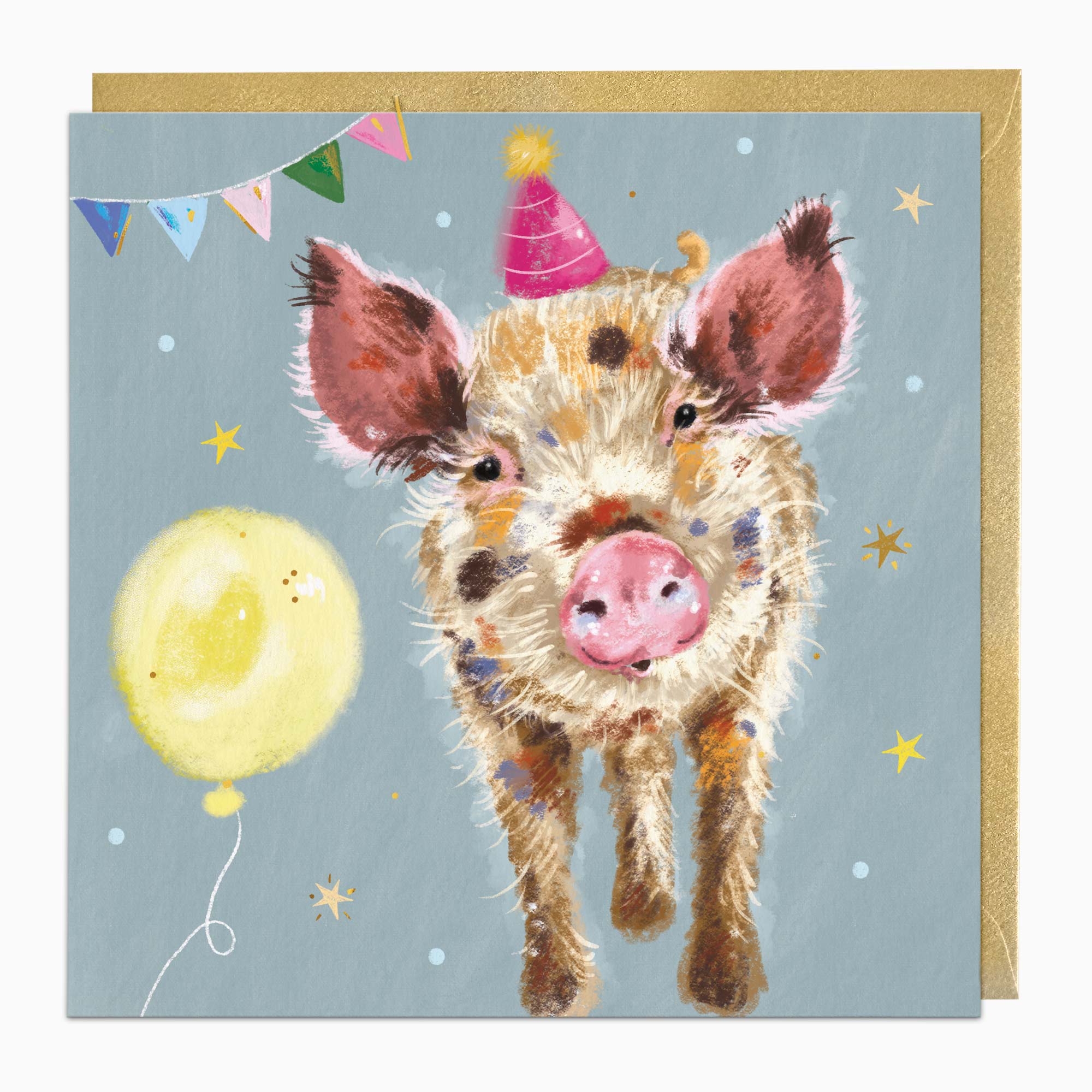 Greeting Card-H037 - Party Pig Birthday Card-Whistlefish