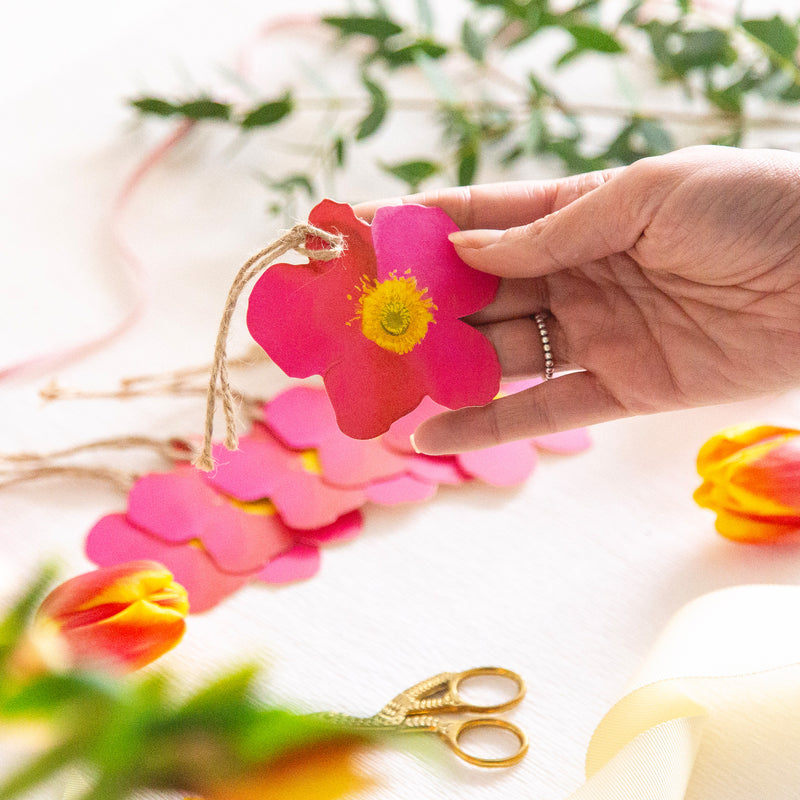 Gift Tag-GWT60 - Petal Pop Gift Tags (Pack of 6)-Whistlefish