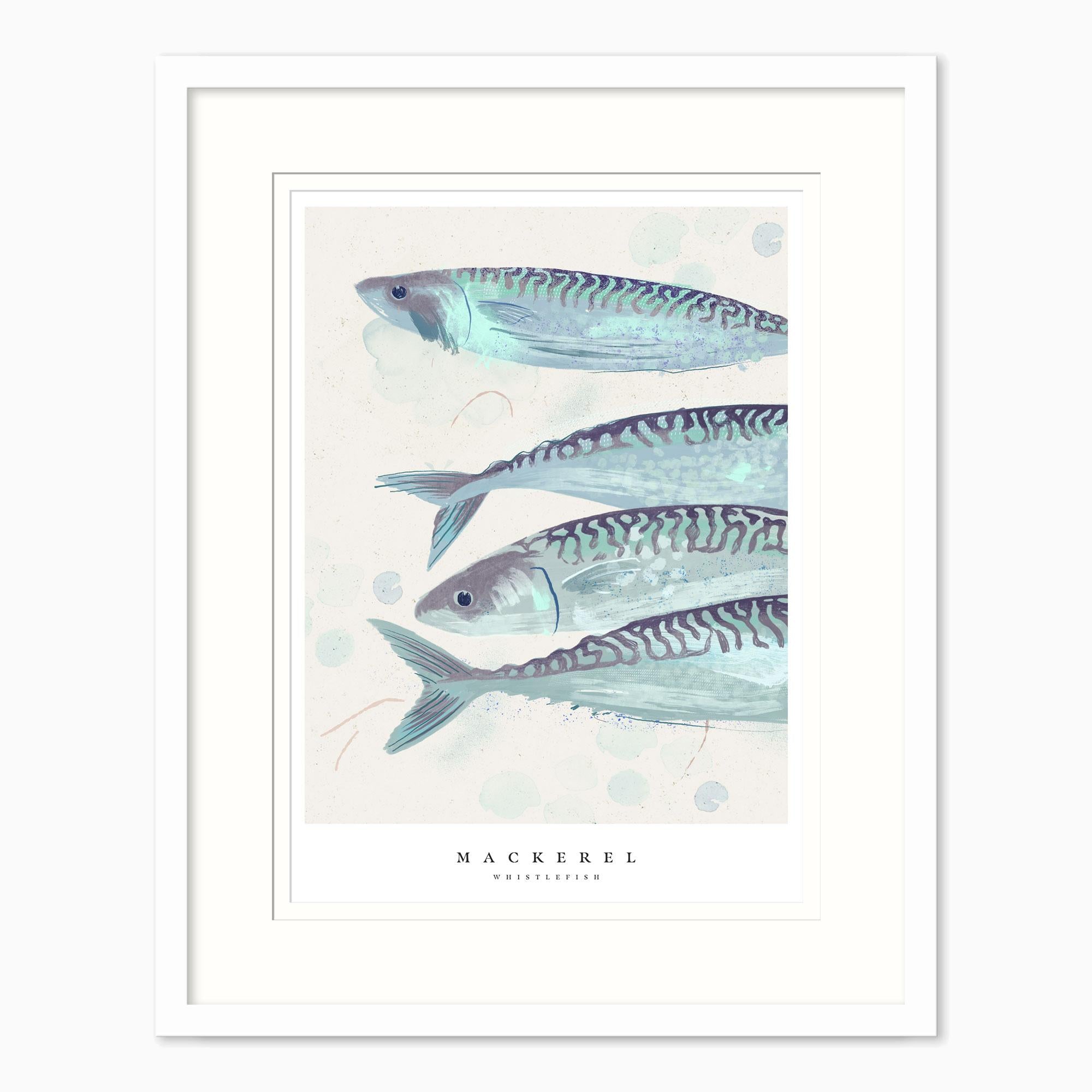 Framed Print-WF1027F - Seagrass Mackerel Large Framed Print-Whistlefish