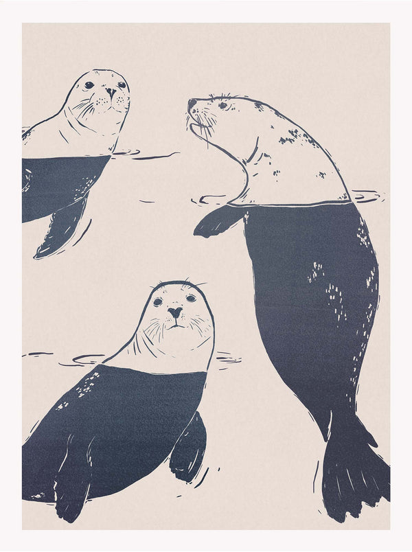 Print-WF1200P - SeaLions Art Print-Whistlefish