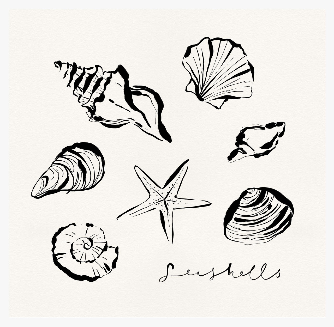 Framed Print-WF1100F - Shells Framed Print-Whistlefish