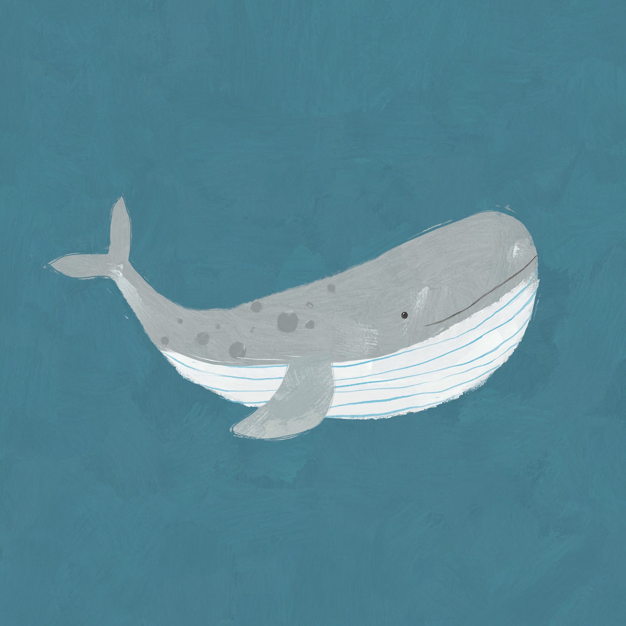 Print-WF1116P - Whale Medium Art Print-Whistlefish