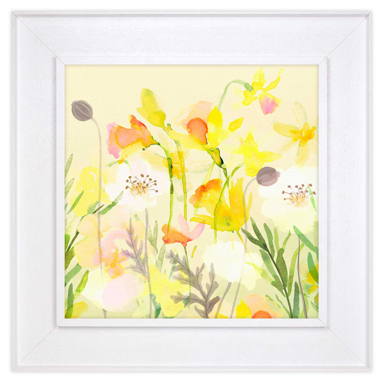 Framed Canvas - WFC110F - White Poppy Med Canvas Framed - White Poppy - Whistlefish