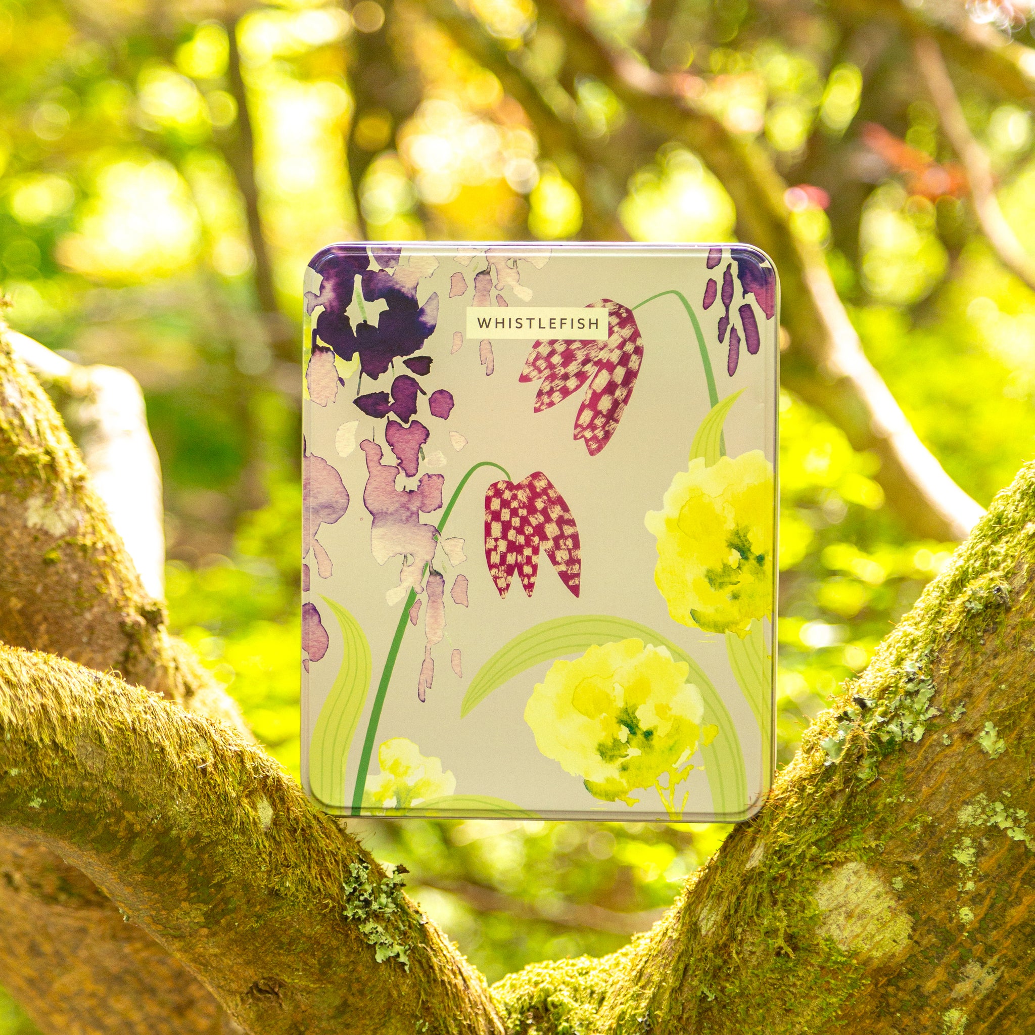 Gift Tin-GT29 - Wonderful Wisteria Gift Tin-Whistlefish