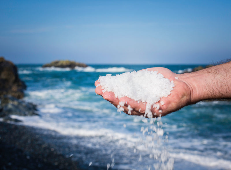 Inside Cornish Sea Salt: Coast, Craft and Heritage - Whistlefish