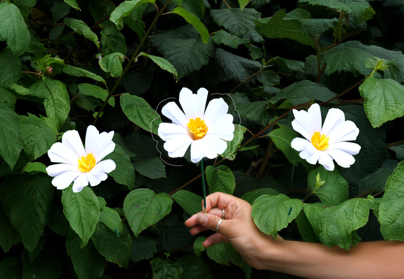 Craft Your Own Everlasting Paper Daisy - Whistlefish