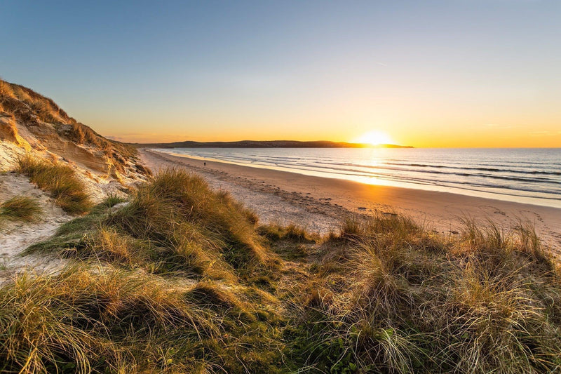Exploring Upton Towans Nature Reserve: A Hidden Gem on the Cornish Coast - Whistlefish