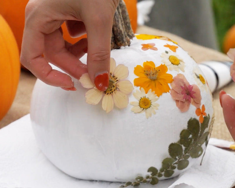 How Do You Decorate the Perfect Pumpkin? - Whistlefish