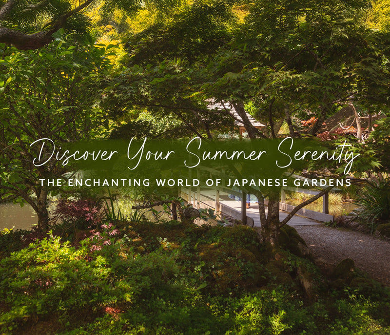 Discover Your Summer Serenity: The Enchanting World of Japanese Gardens - Whistlefish