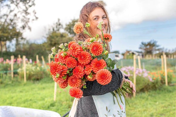 Pick your own flowers at The Cornish Flower Patch - Whistlefish