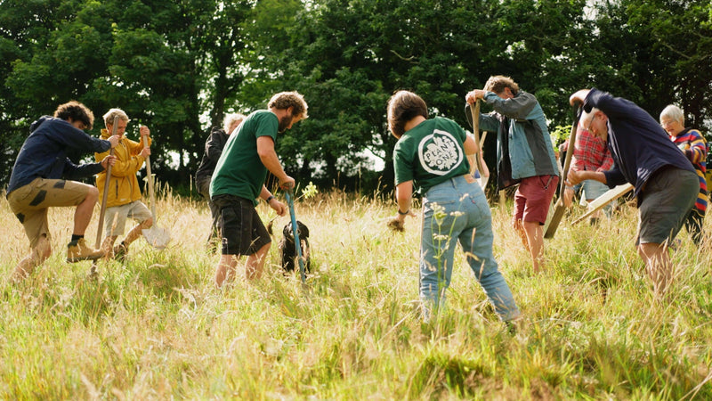 Plant a Tree with Plant One Cornwall - Whistlefish