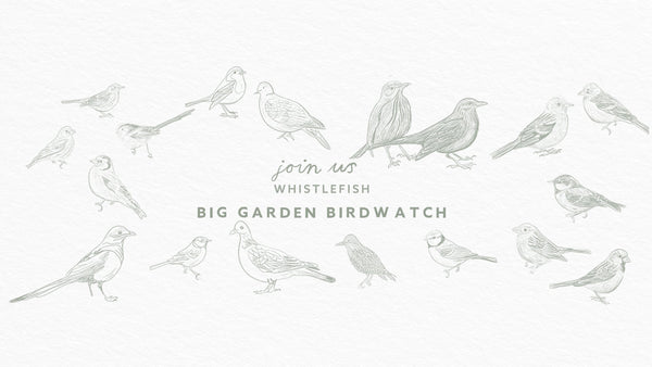 The Great British Birdwatch - Whistlefish