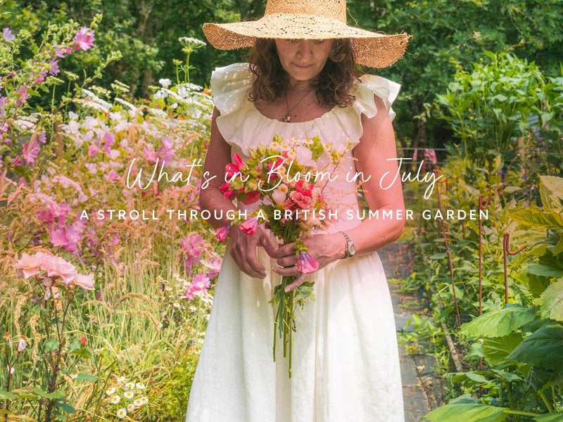 What’s in Bloom in July: A Stroll Through a British Summer Garden - Whistlefish