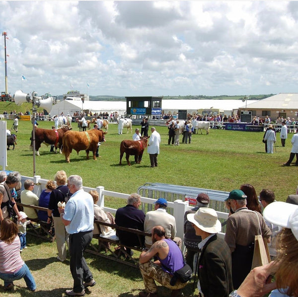 What's on at The Royal Cornwall Show - Whistlefish
