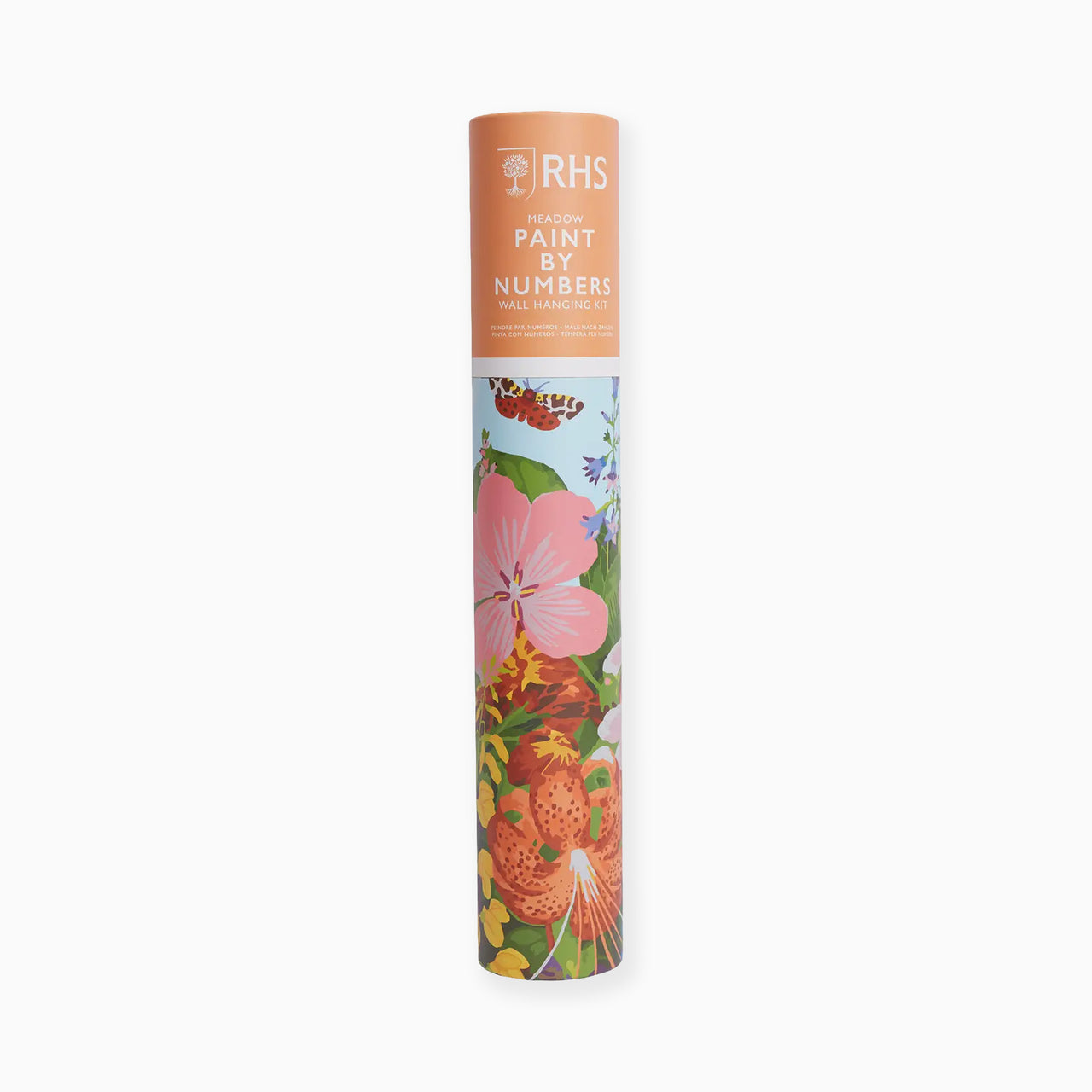 Painting Kit-RHS550103 - RHS Paint By Numbers Kit Meadow-West Design Products UK