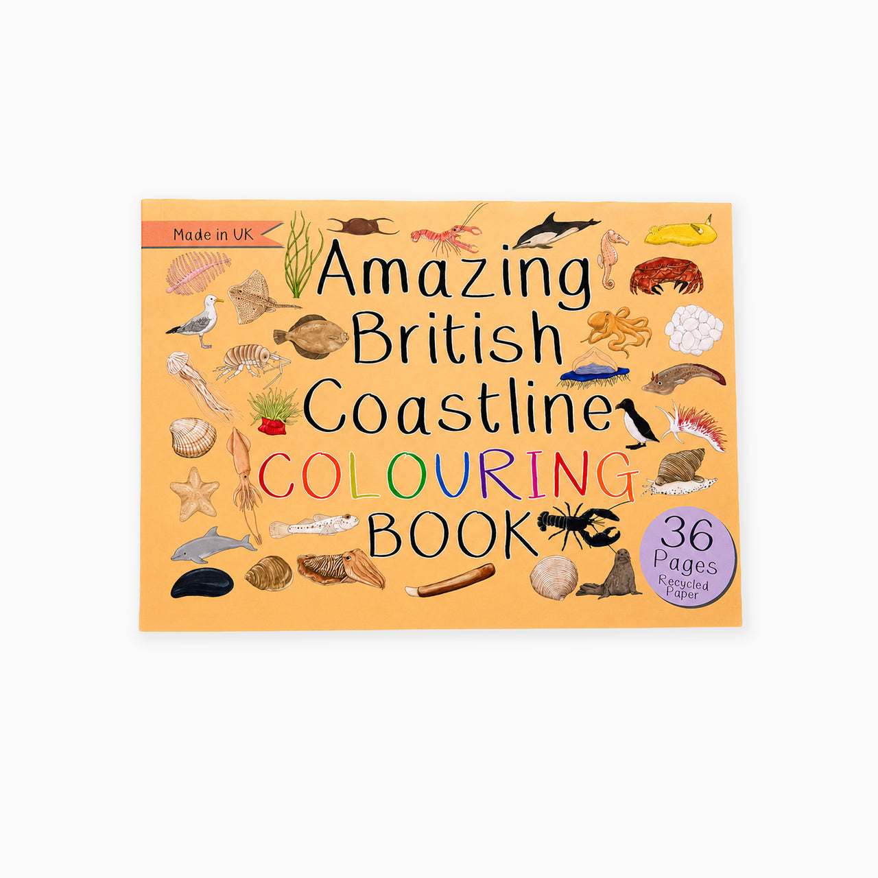 Colouring Book-Abccb - Amazing British Coastline Colouring Book-Button & Squirt