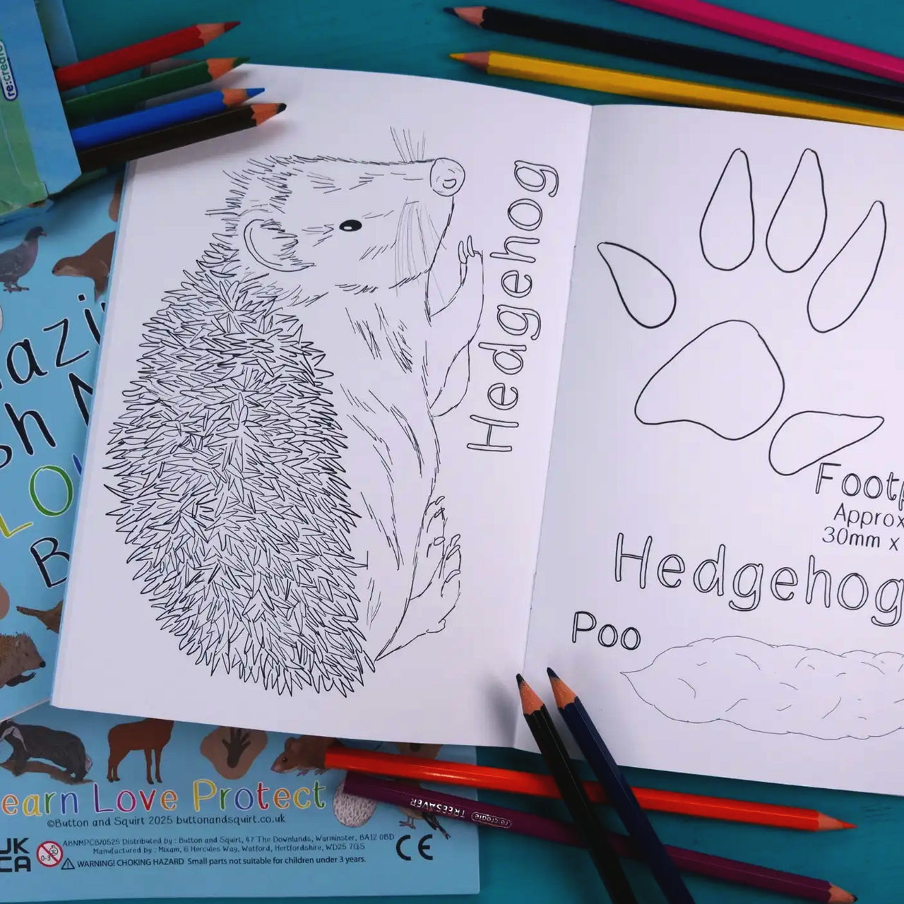 Colouring Book-ABNCB - Amazing British Nature Colouring Book-Button & Squirt