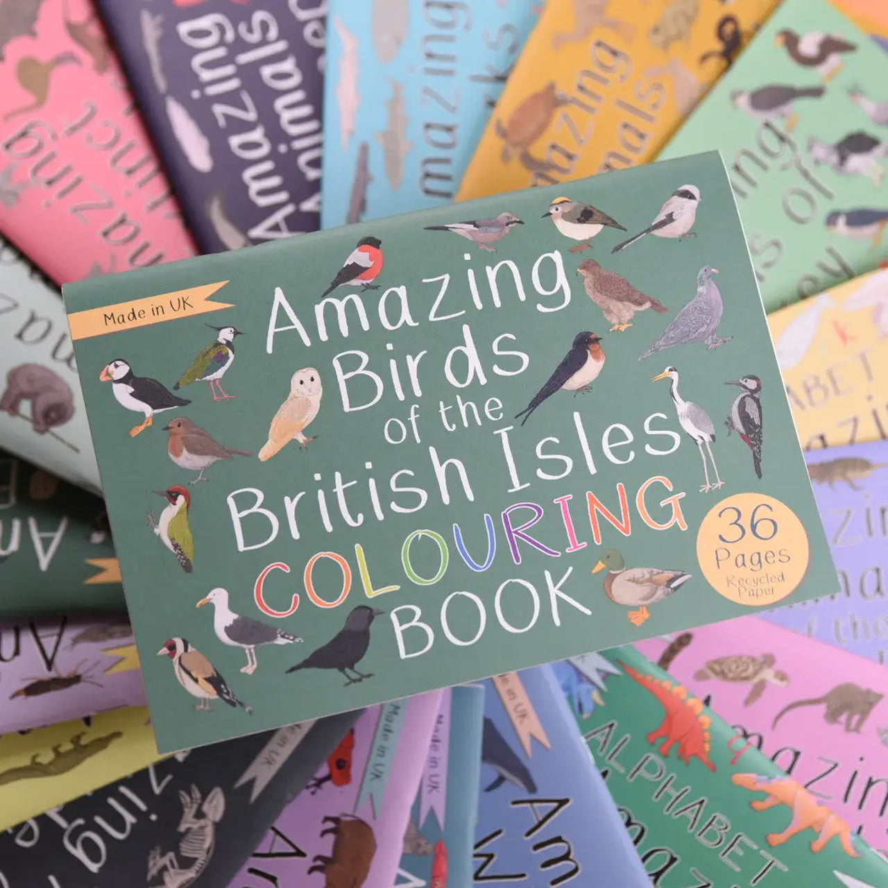 Colouring Book-Abobicb - British Isles Birds Colouring Book-Button & Squirt