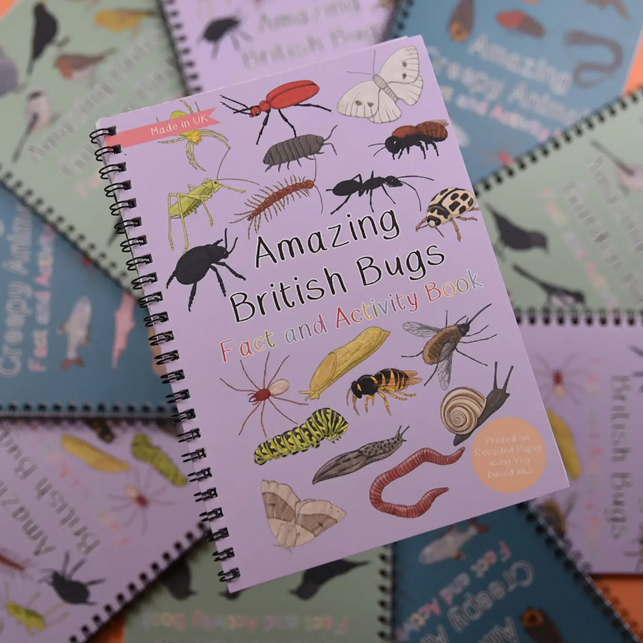 Activity Book-ABBFA - Amazing British Bugs Fact & Activity Book-Button & Squirt