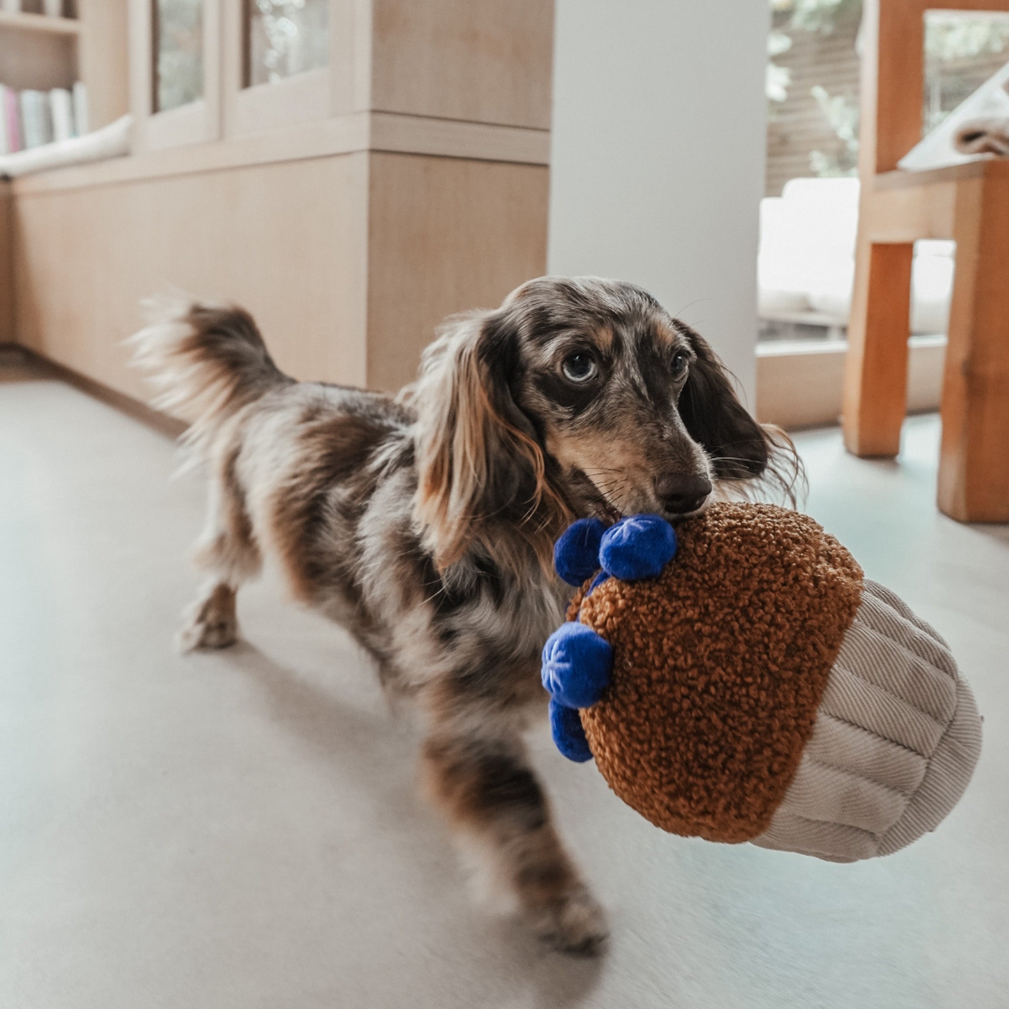 BMTOYL - Blueberry Muffin Dog Toy
