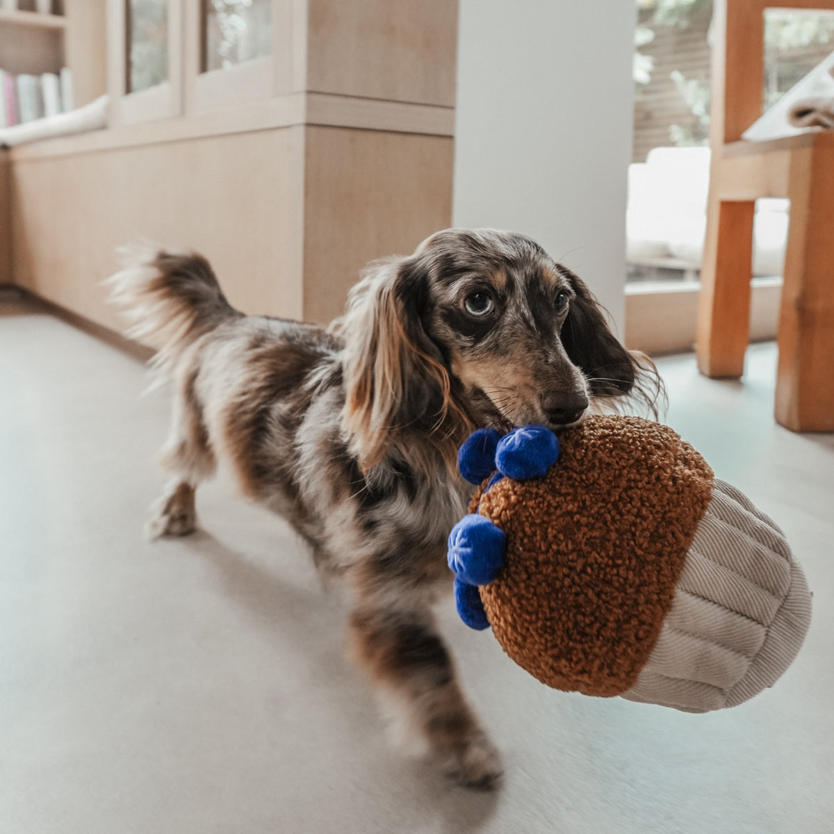 BMTOYL - Blueberry Muffin Dog Toy