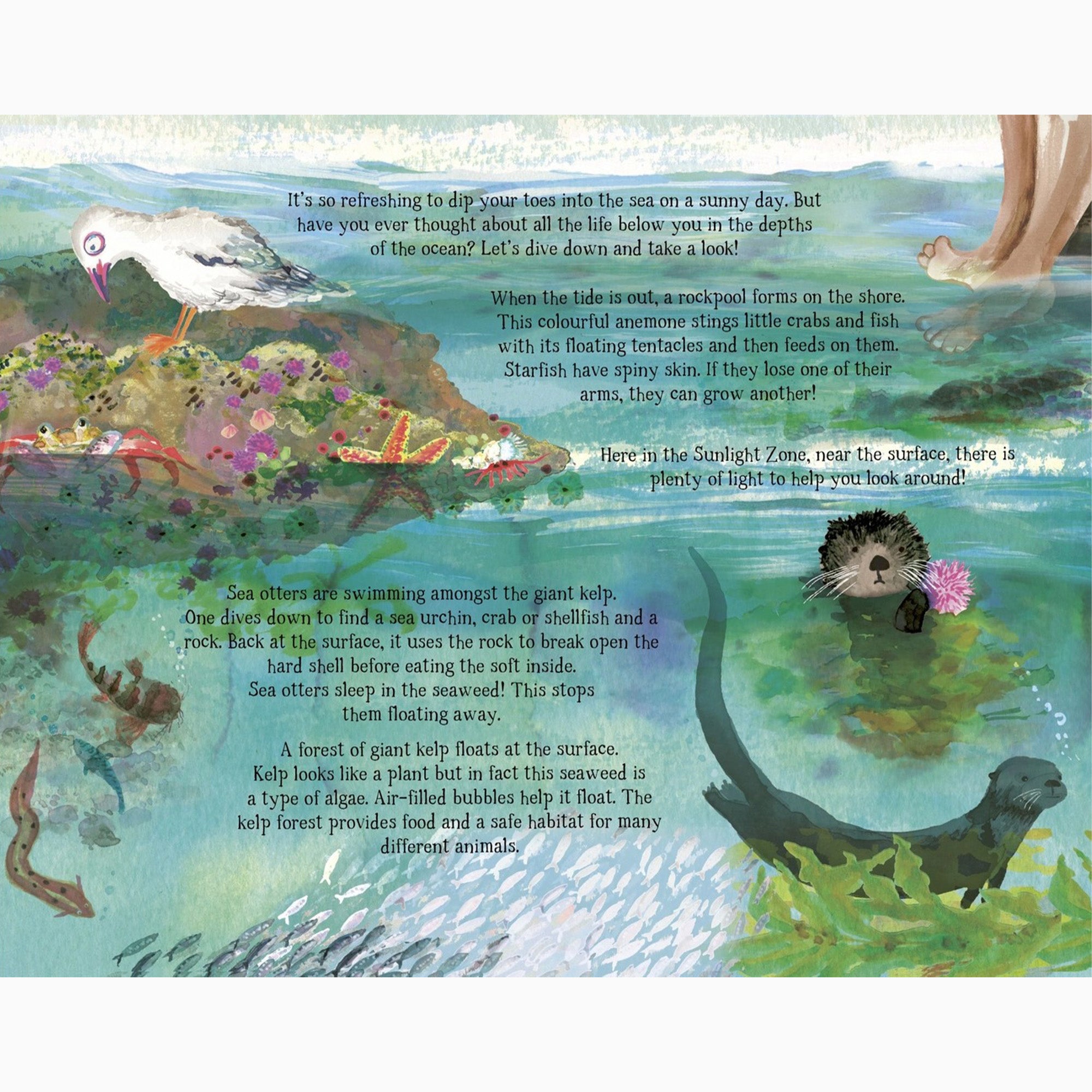 Book-9780711271944 - The Sea Below My Toes-The Quarto Group