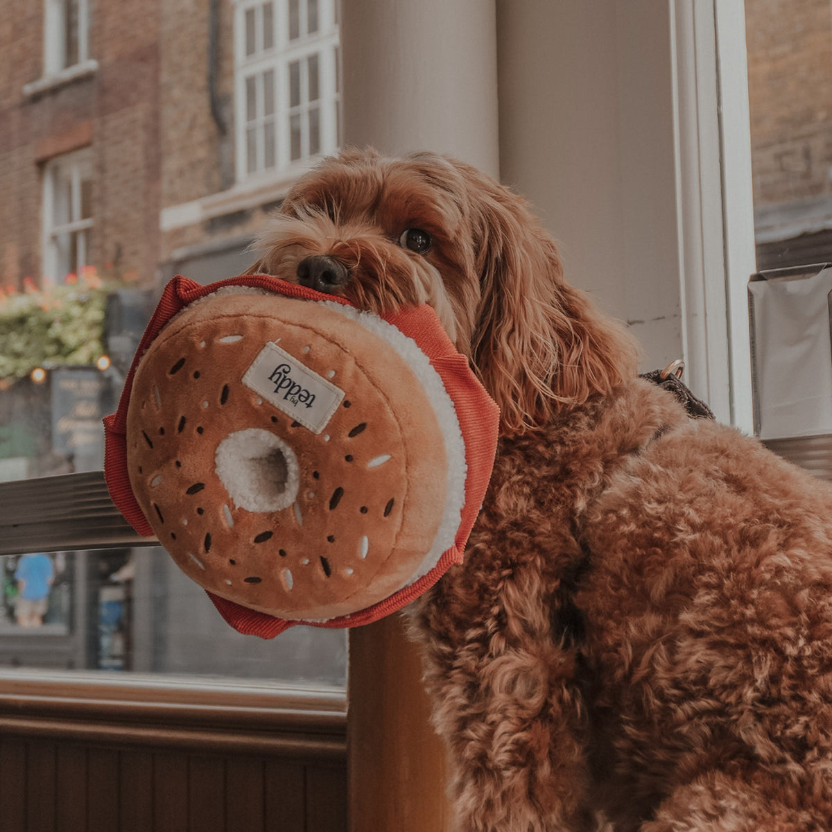 CCTOYL - Bagel Dog Toy