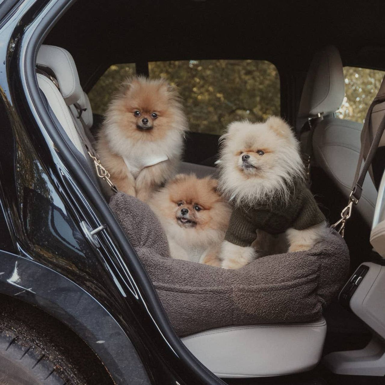 COSY-CAR-CHOC-XL - The XL Cosy Car Seat