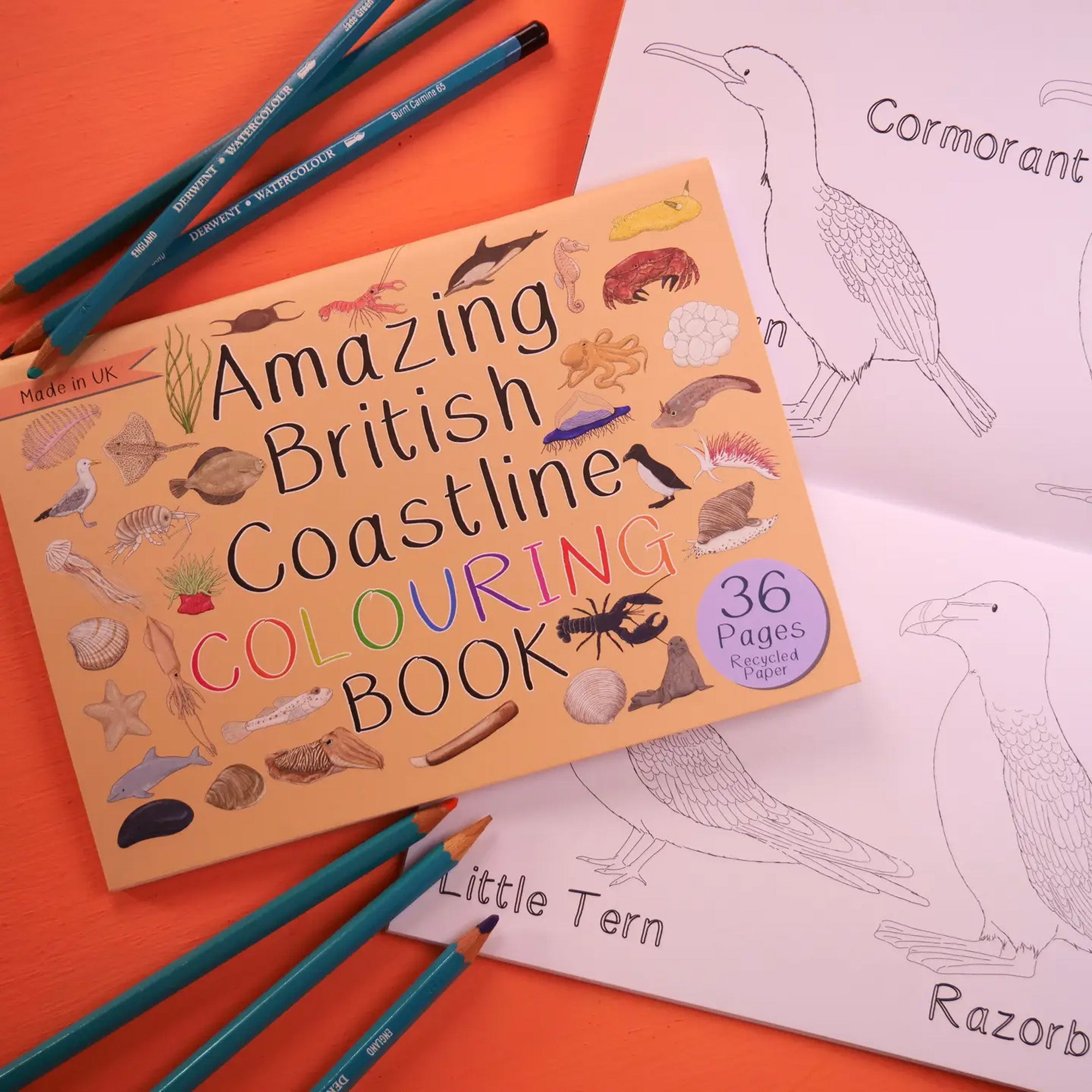 Colouring Book-Abccb - Amazing British Coastline Colouring Book-Button & Squirt