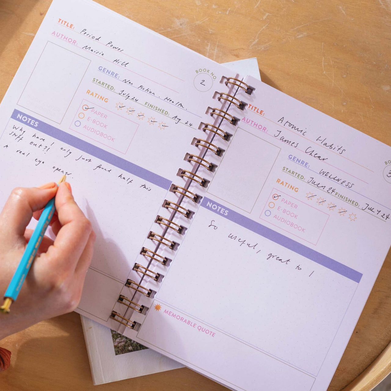 Journal-JRN-READ-DCS-A5 - Deckchair Stripe Reading Journal-Good Tuesday