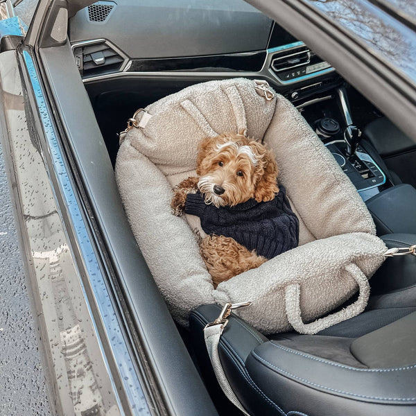 Dog Supplies-COSY-CAR-L - The Cosy Car Seat-By Teddy