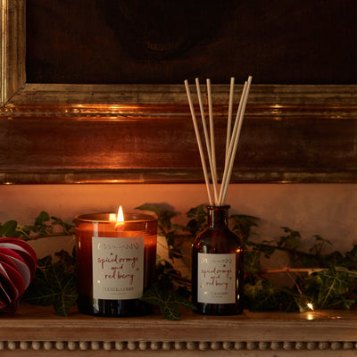 DIFF-SORB - Spiced Orange and Red Berry Diffuser